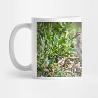 Dunlin wading bird on the shore Mug